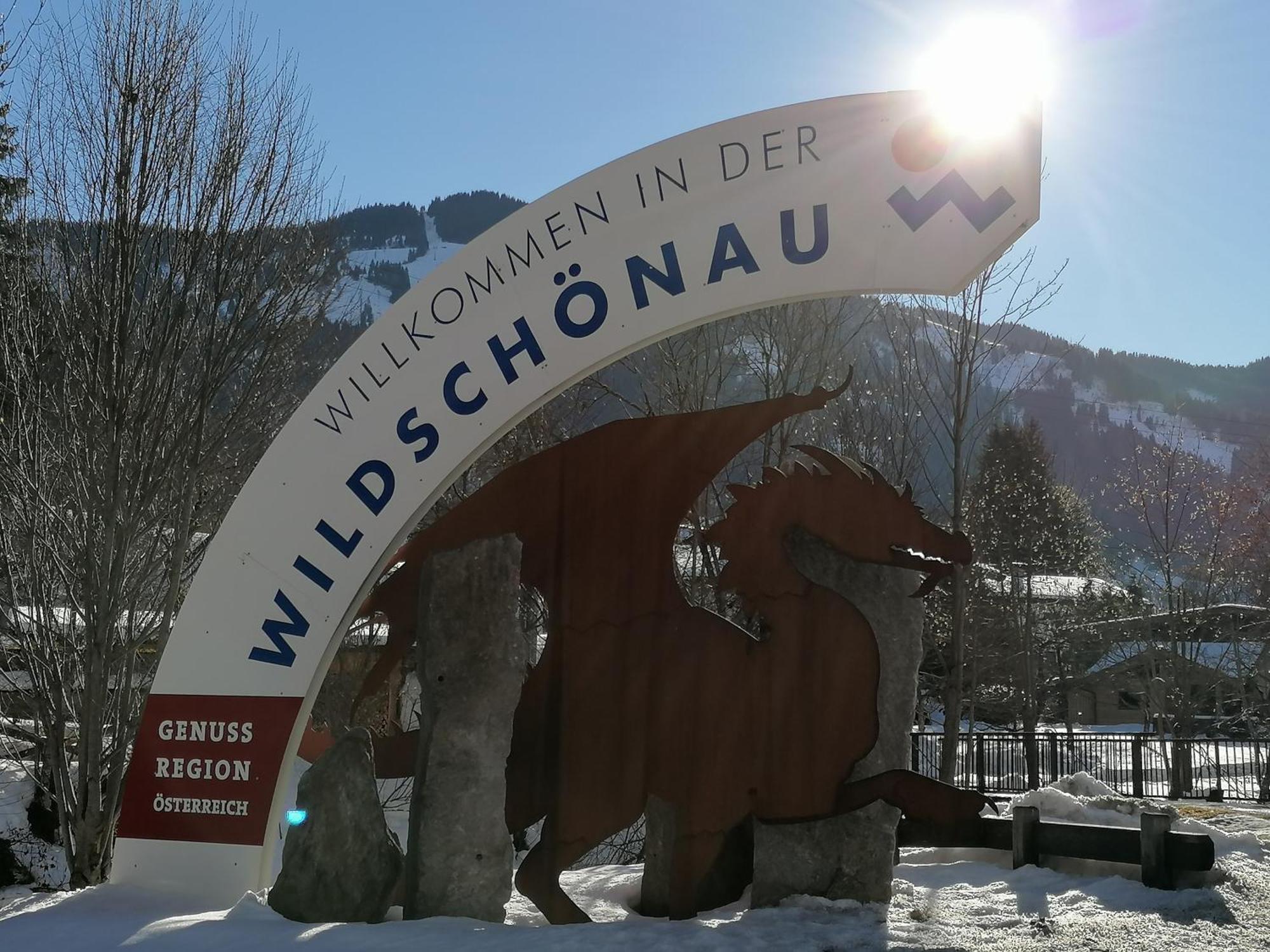Ferienwohnung Wildschoenau By Fewo-Plan In Panoramalage Wild191 Thierbach 외부 사진